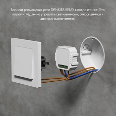 Двухканальное Wi-Fi реле-выключатель Denkirs 2x1150Вт/2x150Вт для LED RL1002-SM/1 2