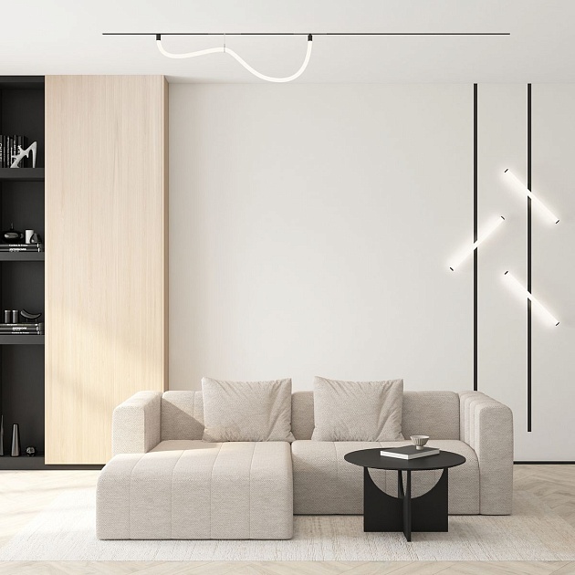 Трековый светодиодный светильник Denkirs Smart Ray DK8065-BK Фото № 4