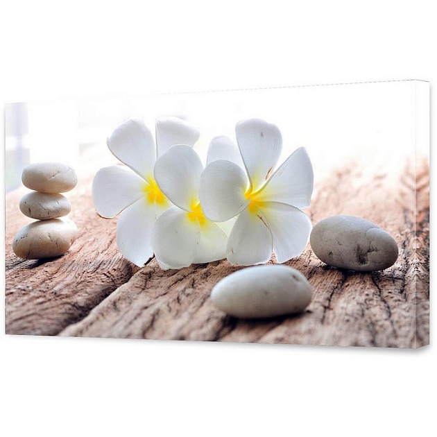 Холст Toplight 50х100х3см TL-H0031 изображение 1 Холст Toplight 50х100х3см TL-H0031 Фото № 1