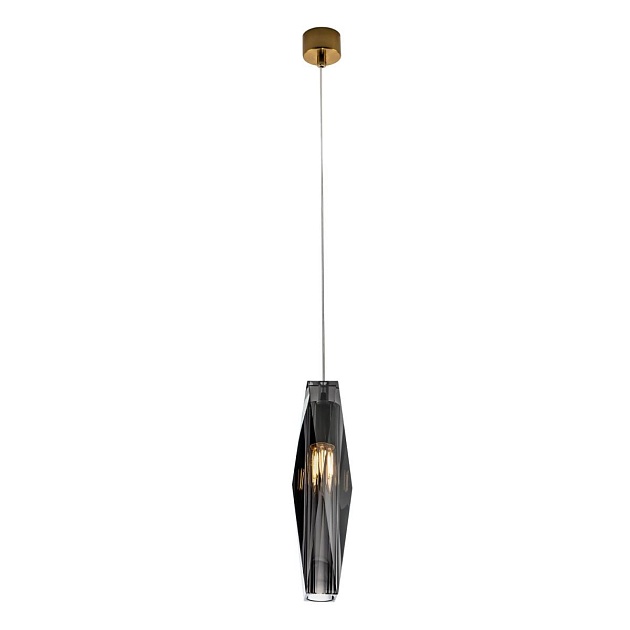 Подвесной светильник MODELUX ML.88950.1 SM Фото № 5