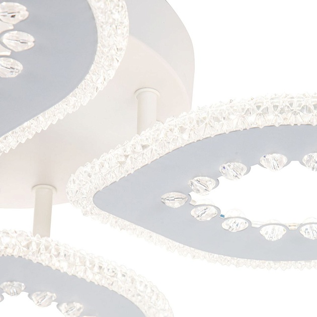 Потолочная светодиодная люстра Escada Dew 10271/4LED Фото № 2