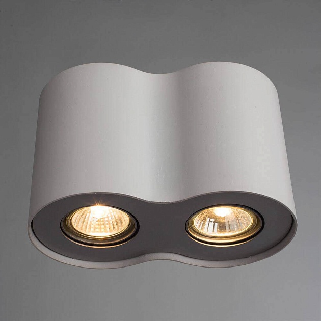 Потолочный светильник Arte Lamp Falcon A5633PL-2WH Фото № 2