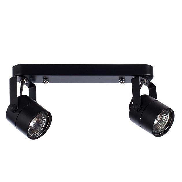 Спот Arte Lamp A1311PL-2BK изображение 1 Спот Arte Lamp A1311PL-2BK Фото № 1