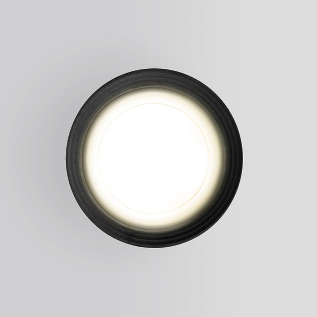Уличный светильник Elektrostandard Light 35128/H серый a056227 Фото № 3