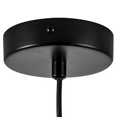 Люстра Fenicia Lightstar 799357 1