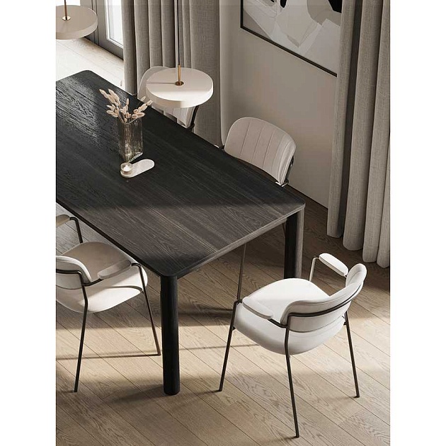 Кухонный стул Bergenson Bjorn Eirill FH-ERL-ARMCH-PL-TP изображение 13 Кухонный стул Bergenson Bjorn Eirill FH-ERL-ARMCH-PL-TP Фото № 13