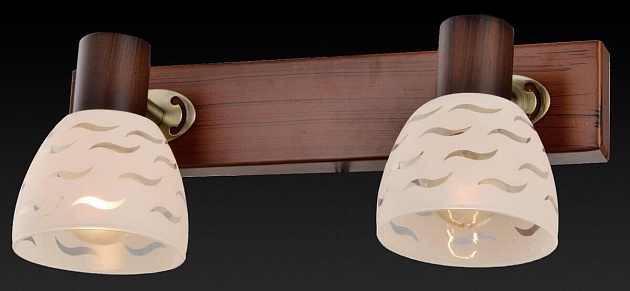 Спот Toplight Shayla TL3730Y-02BB изображение 2 Спот Toplight Shayla TL3730Y-02BB Фото № 2