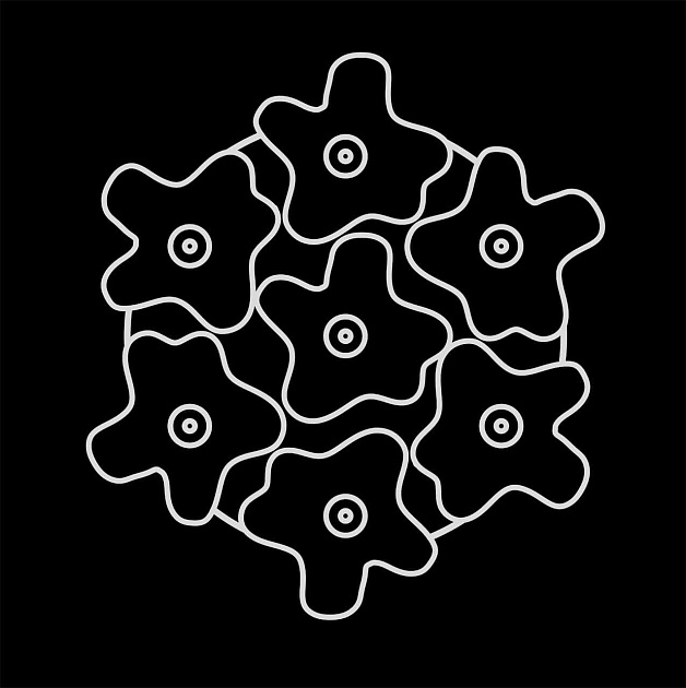 Потолочная люстра Lightstar Nubi 802070 Фото № 4