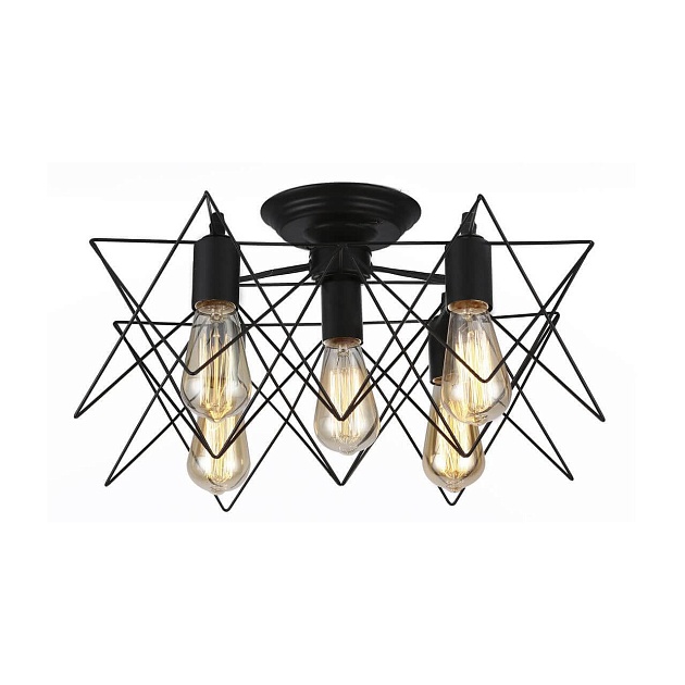 Потолочная люстра Arte Lamp A6048PL-5BK Фото № 1