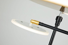 Потолочная светодиодная люстра Escada Cassiopeia 10247/8LED 4