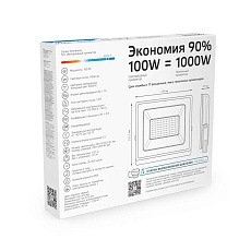 Прожектор светодиодный Gauss 100W 613100100 3
