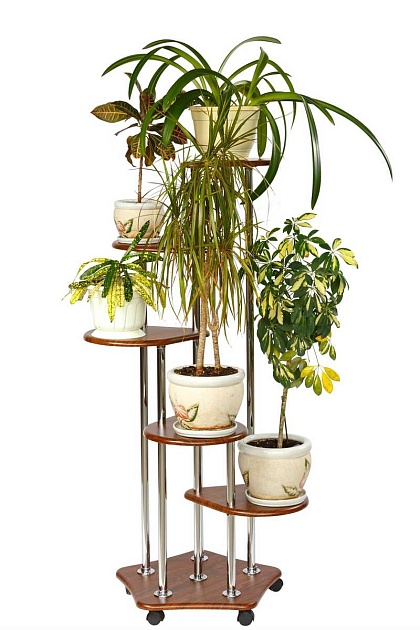 Подставка для цветов Мебелик Пятерочка 006652 Фото № 4