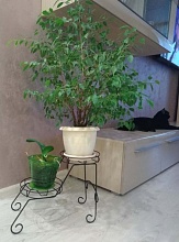 Подставка для цветов Sheffilton Мелодия черный 6190880402 1