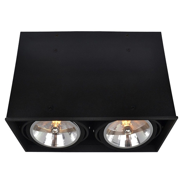 Потолочный светильник Arte Lamp Cardani A5936PL-2BK Фото № 1