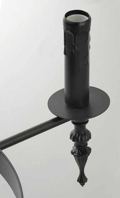 Подвесная люстра Lussole Loft IV LSP-9300 Фото № 2