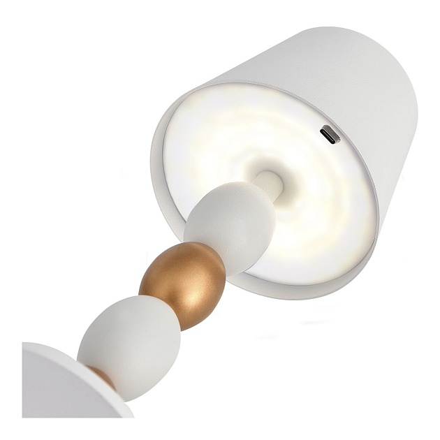 Настольная лампа ST Luce Ease SL1011.514.01 изображение 4 Настольная лампа ST Luce Ease SL1011.514.01 Фото № 4