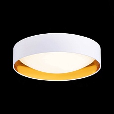 Потолочный светодиодный светильник Evoluce Orbio SLE201122-01 4