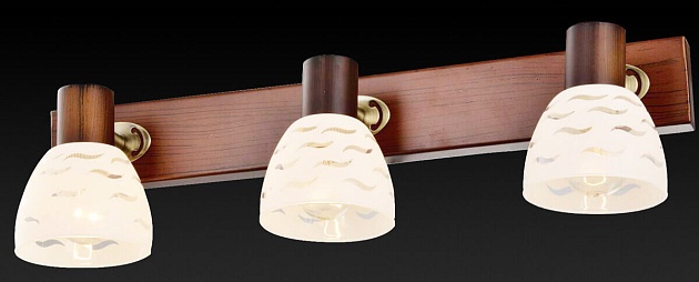 Спот Toplight Shayla TL3730Y-03BB изображение 3 Спот Toplight Shayla TL3730Y-03BB Фото № 3