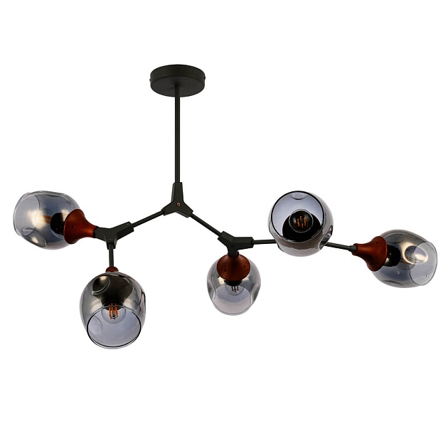 Потолочная люстра Evoluce Ciotolla SLE113402-05 Фото № 1