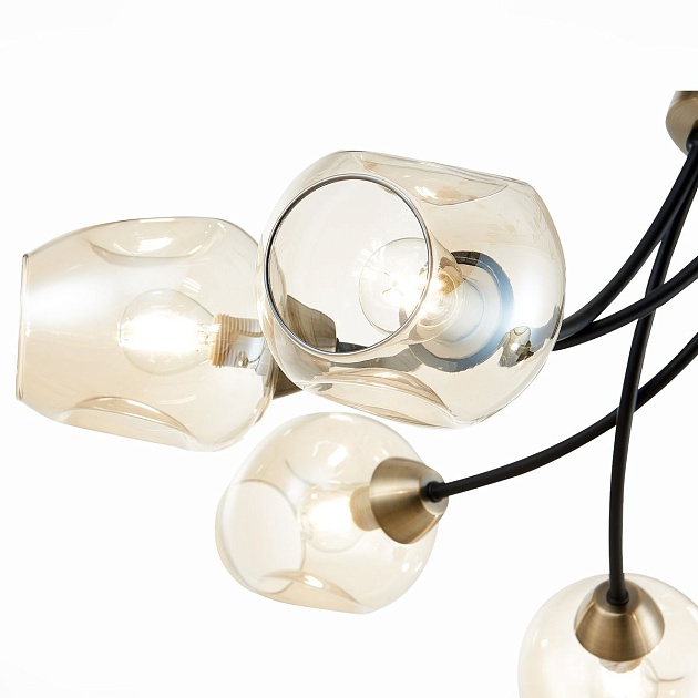 Потолочная люстра Evoluce Besano SLE205302-06 изображение 3 Потолочная люстра Evoluce Besano SLE205302-06 Фото № 3