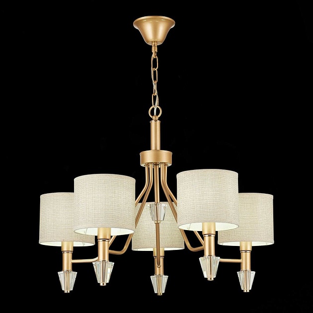 Подвесная люстра Evoluce Vilede SLE107003-05 изображение 4 Подвесная люстра Evoluce Vilede SLE107003-05 Фото № 4