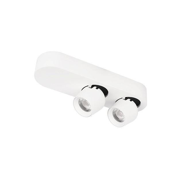Спот Loft IT Quiet 10320/2 White Фото № 1