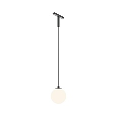 Трековый подвесной светильник Maytoni Technical TR178-1-5WTW-B