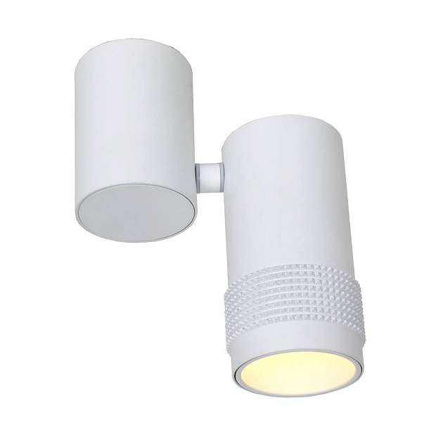 Спот Favourite Kinescope 2453-1U Фото № 2