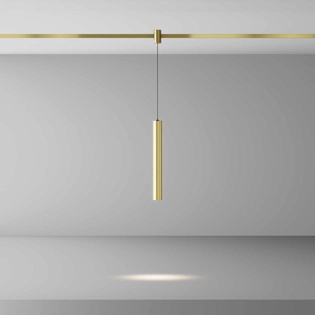 Трековый светильник Maytoni Technical TR155-1-5W4K-BS изображение 6 Трековый светильник Maytoni Technical TR155-1-5W4K-BS Фото № 6