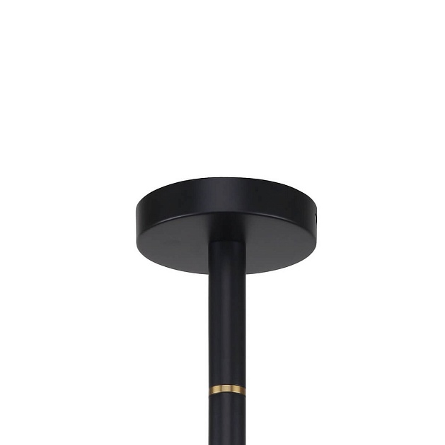 Подвесная люстра Favourite Eternity 2766-6P Фото № 3