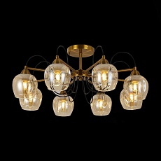 Потолочная люстра Evoluce Acro SLE110002-08 1