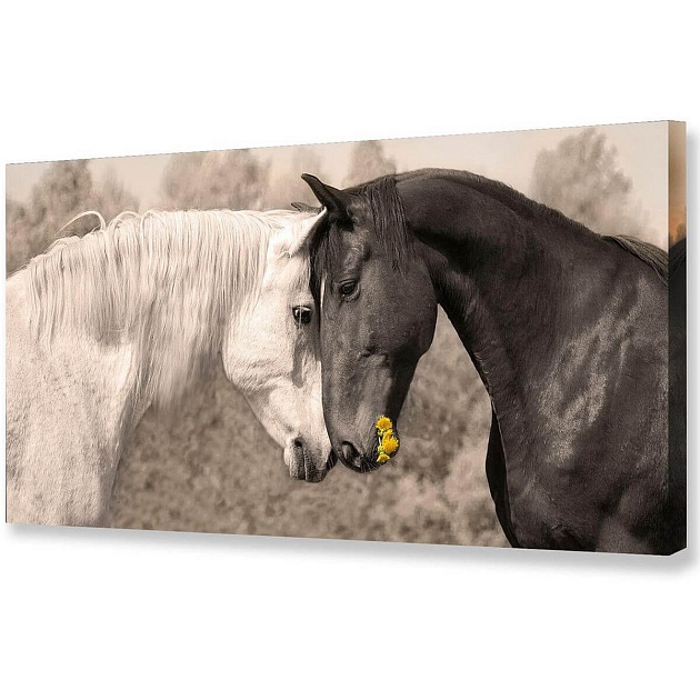 Холст Toplight 50х100х3см TL-H0018 Фото № 1