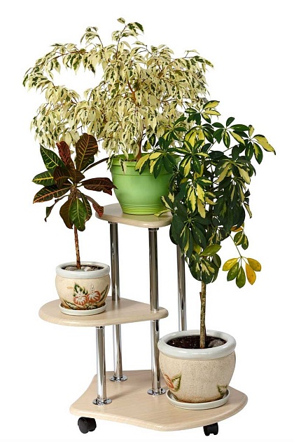 Подставка для цветов Мебелик Двоечка 006297 Фото № 4