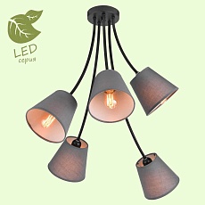 Подвесная люстра Lussole Lgo Lafayette GRLSP-8266 2