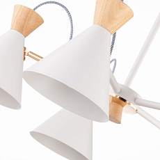 Потолочная люстра Evoluce Modica SLE125102-05 1