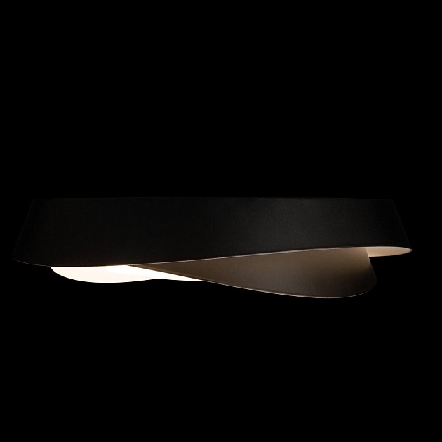 Потолочный светильник Loft IT Petale 10256 Black изображение 3 Потолочный светильник Loft IT Petale 10256 Black Фото № 3