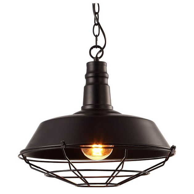 Подвесной светильник Arte Lamp Ferrico A9183SP-1BK Фото № 2