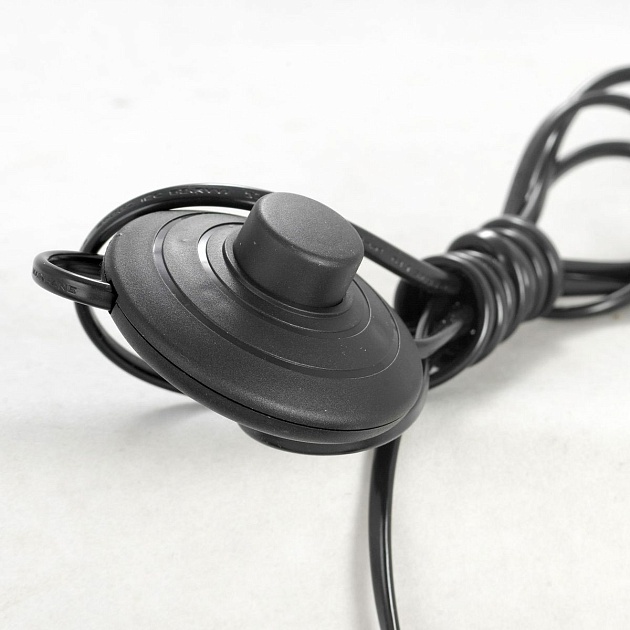 Торшер Lussole Topgrade LSP-0596 Фото № 9