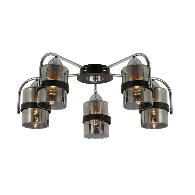 Потолочная люстра Evoluce Fiumo SLE102002-05 Фото № 1