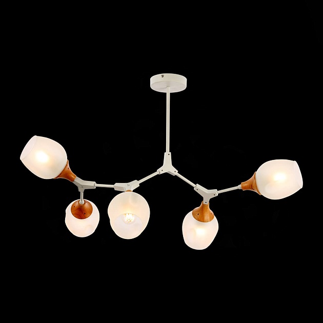 Потолочная люстра Evoluce Ciotolla SLE113502-05 изображение 5 Потолочная люстра Evoluce Ciotolla SLE113502-05 Фото № 5