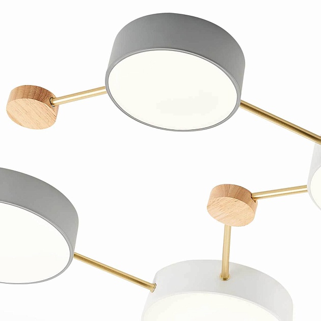 Потолочный светильник Evoluce DOSSENA SLE600102-08 изображение 3 Потолочный светильник Evoluce DOSSENA SLE600102-08 Фото № 3