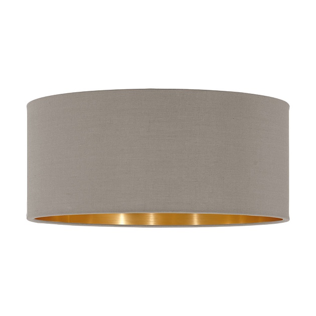 Абажур Eglo Pasteri Pro 62628 Фото № 1