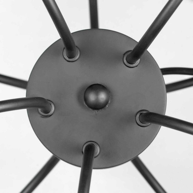 Подвесная люстра Lussole Lgo Roosevelt LSP-8198 Фото № 3