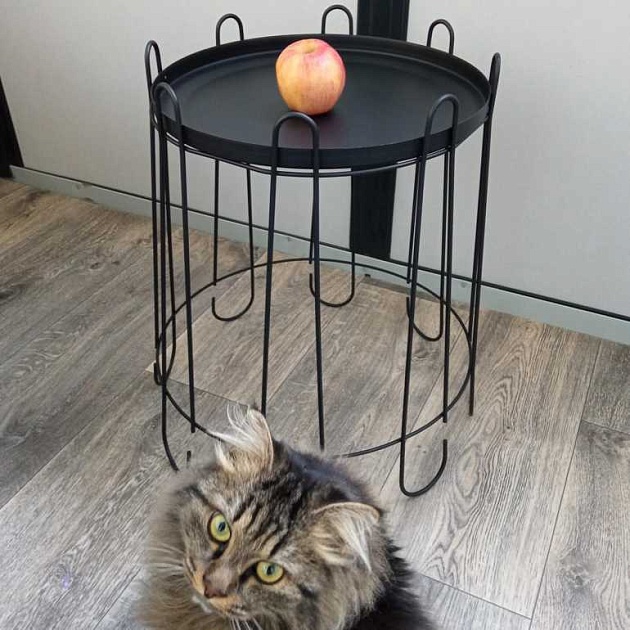 Кофейный стол Мебелик SHT-CT6 008054 изображение 7 Кофейный стол Мебелик SHT-CT6 008054 Фото № 7