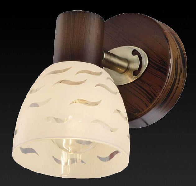 Спот Toplight Shayla TL3730Y-01BB Фото № 2