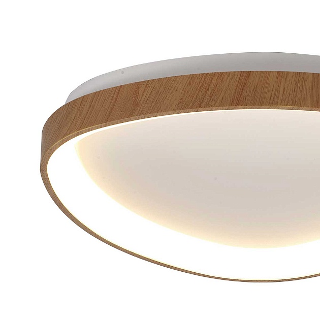 Потолочный светодиодный светильник Mantra Niseko II 8636 Фото № 2