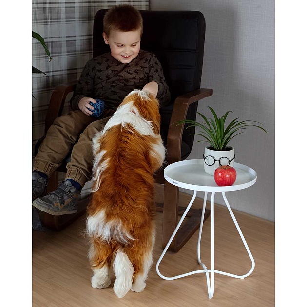 Кофейный стол Мебелик SHT-CT3 007888 изображение 18 Кофейный стол Мебелик SHT-CT3 007888 Фото № 18