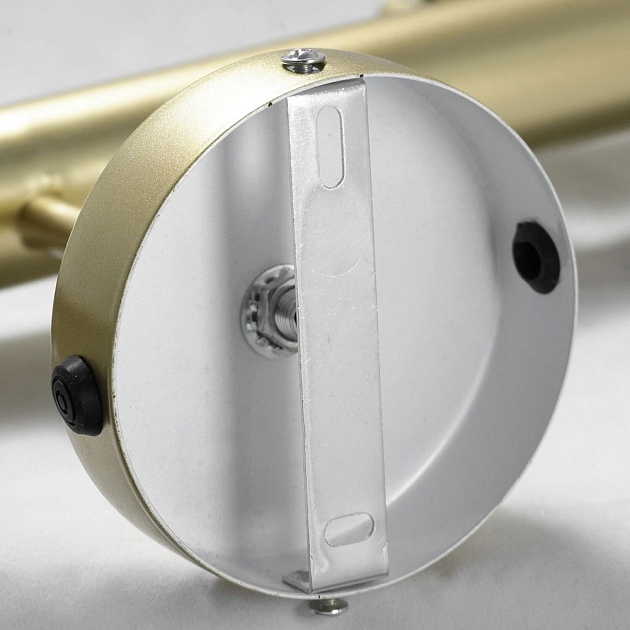 Спот Lussole Loft Murray GRLSP-8169 Фото № 6