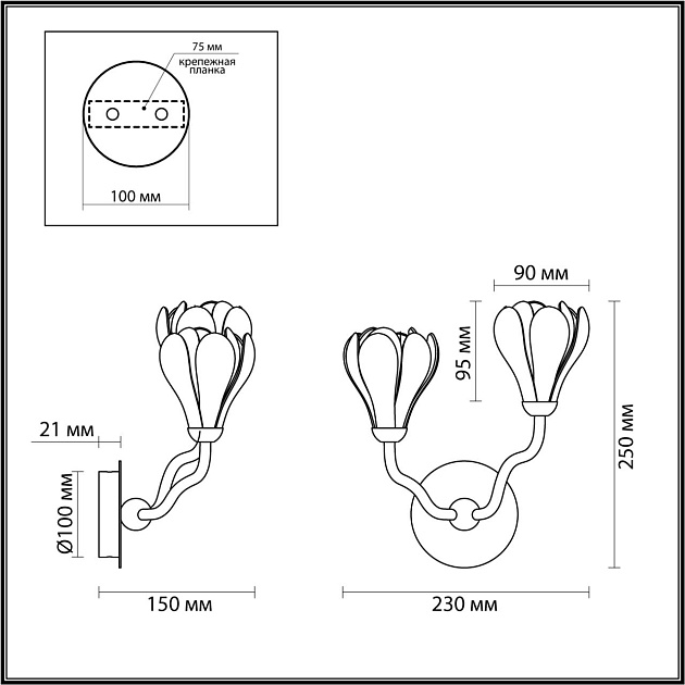 Бра Odeon Light Modern Gardi 5090/5W Фото № 2