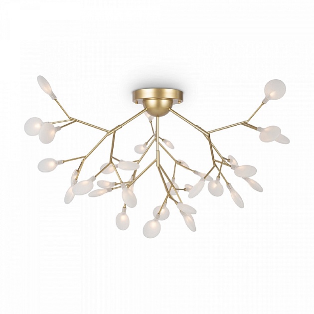 Потолочная люстра Freya Florencia FR5049CL-36G изображение 1 Потолочная люстра Freya Florencia FR5049CL-36G Фото № 1